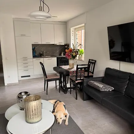 Schwarzer Schwan Apartmán