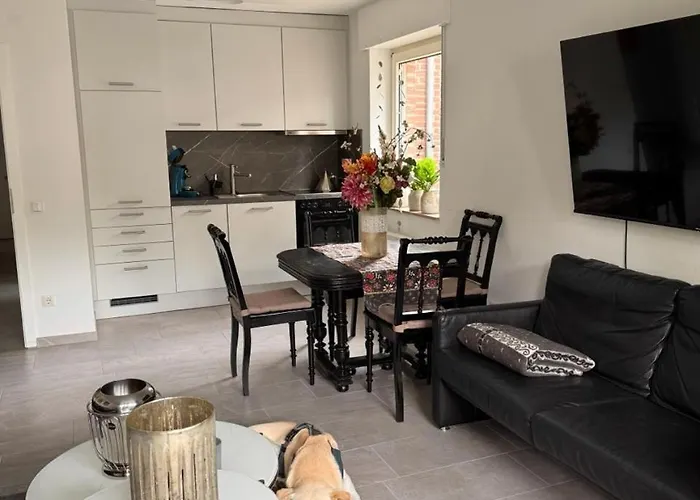 Schwarzer Schwan Lägenhet